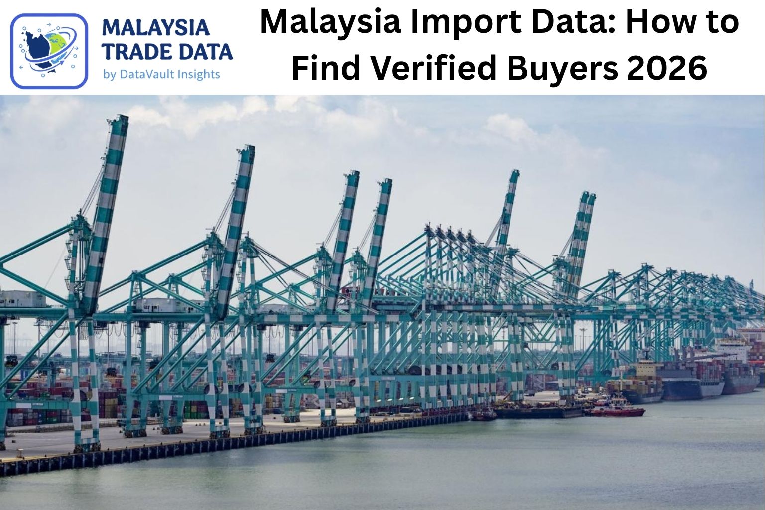 Malaysia import data 2026 - find verified buyers by HS code using Data Vault Insights customs and bill of lading data